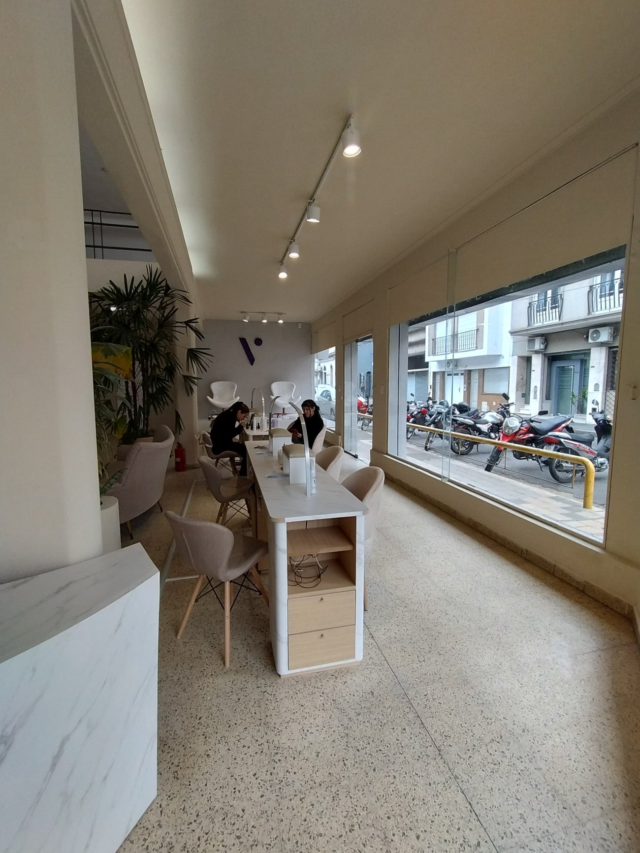 Imagen del perfil